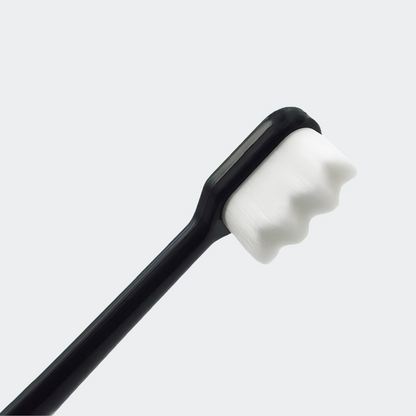 The Micro-Nano Toothbrush